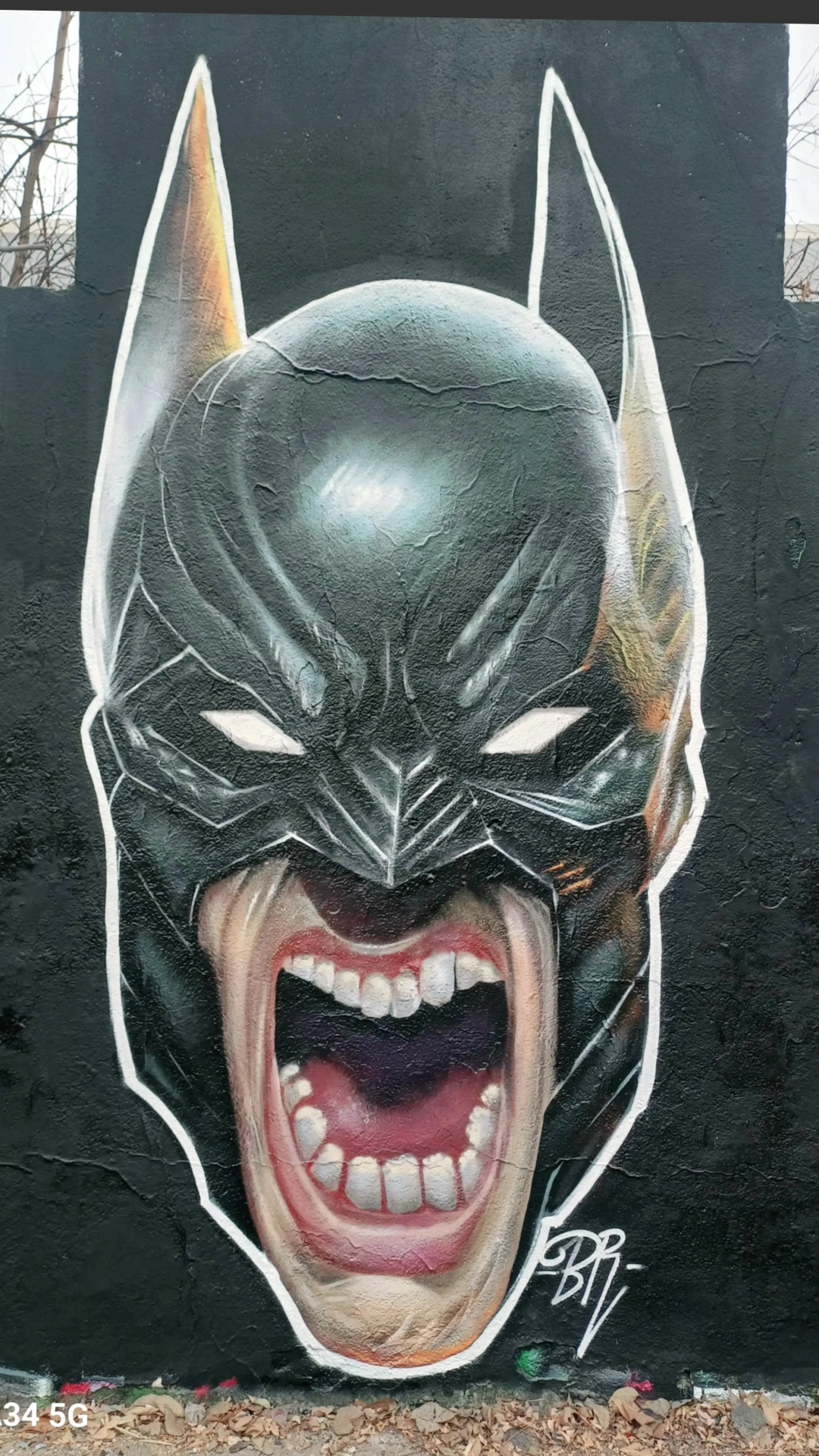 IMG_20250301_211029_654 (1)