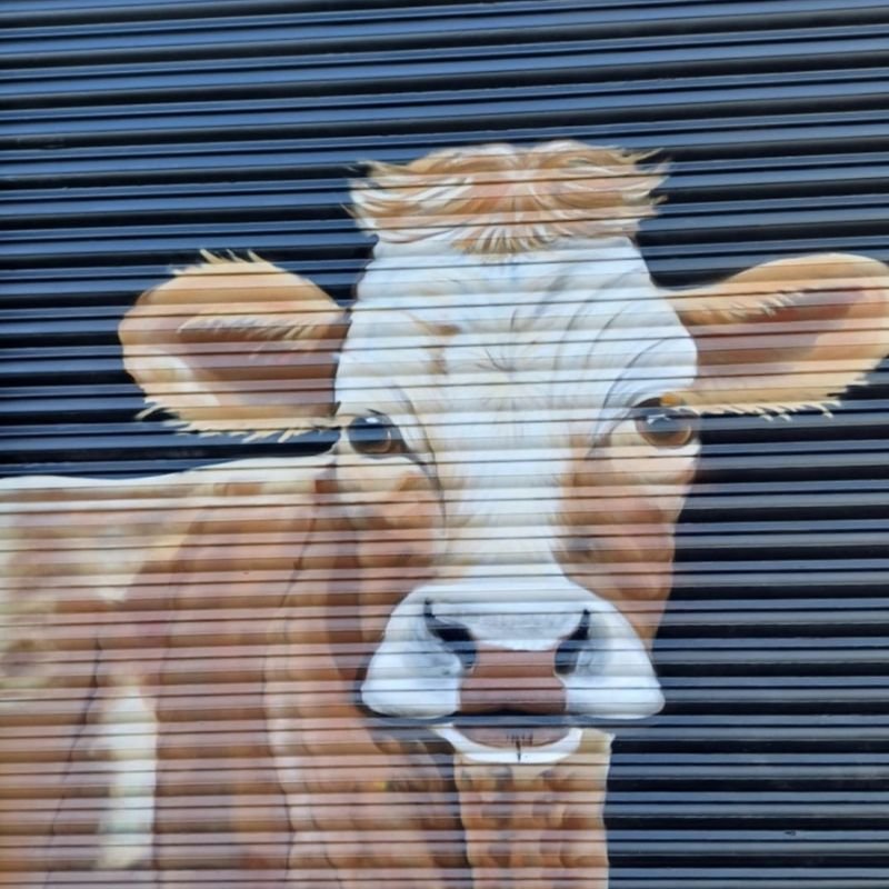 pintor graffiti (3)